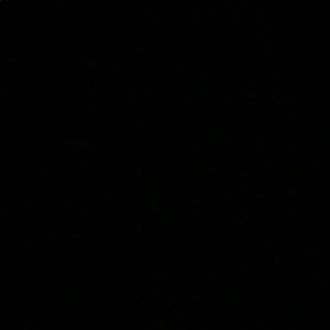 Meet your Posher, Daniela